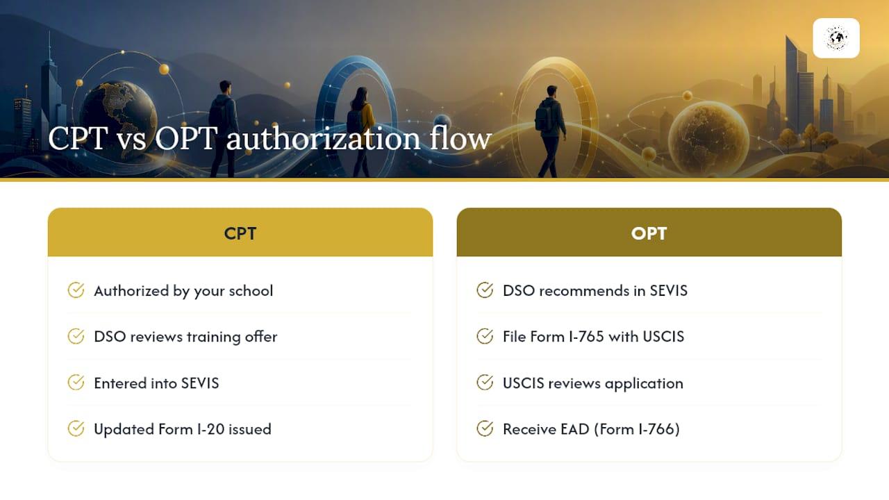 CPT and OPT authorization pathways compared